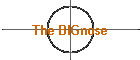 The BIGnose